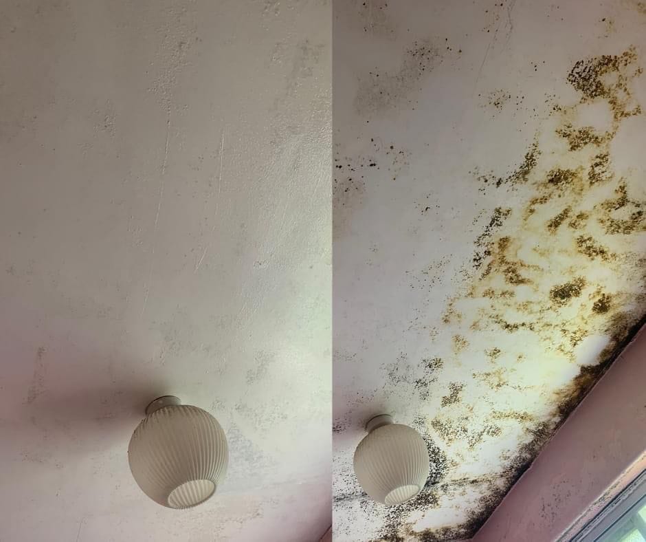 No.1 Mould Removal in Broadstairs